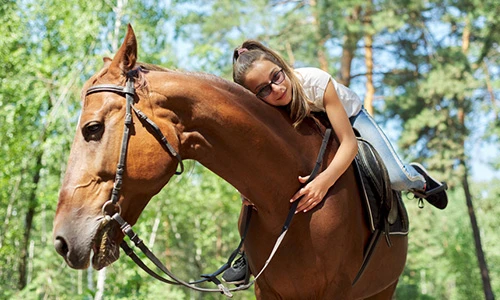 Horse Rides