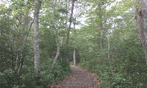 Nature Trails
